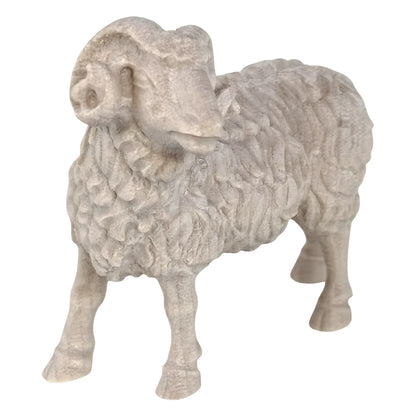 Ram - Maple Wood