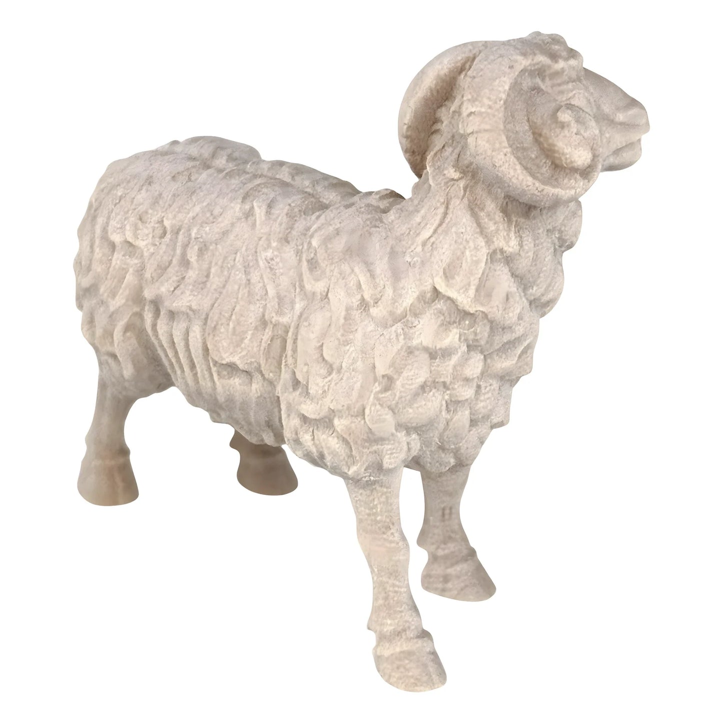 Ram - Maple Wood
