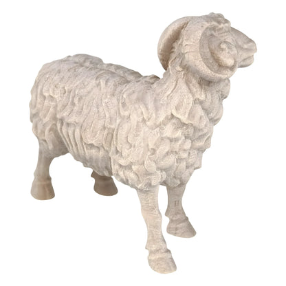 Ram - Maple Wood