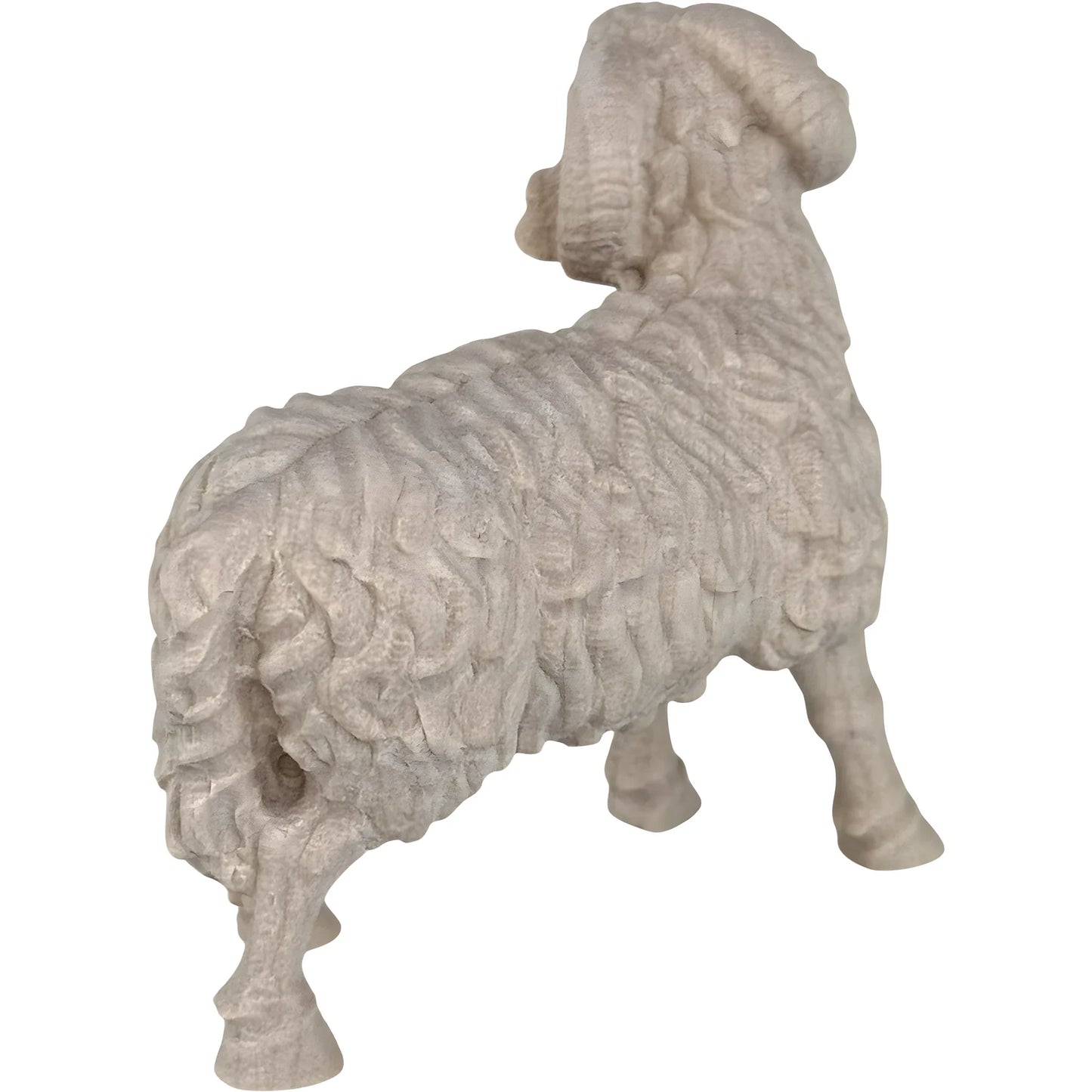 Ram - Maple Wood