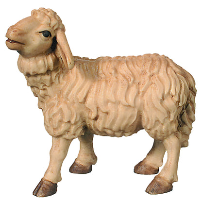 Standing Sheep - Maple Wood (head up)