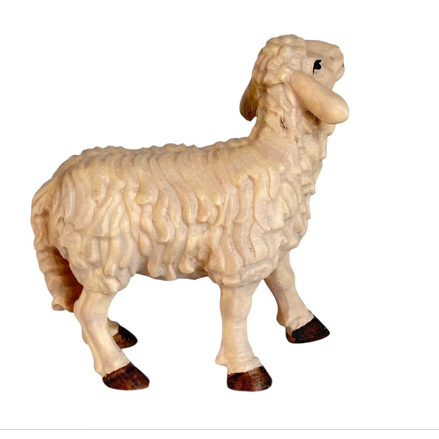 Standing Sheep - Maple Wood (head up)