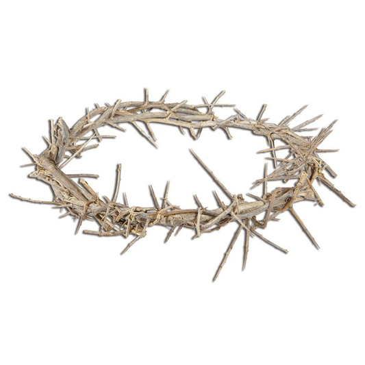 11" Crown of Thorns