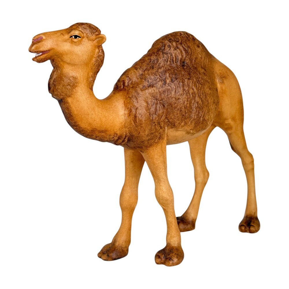 Standing Camel - Maple Wood