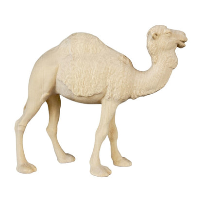 Standing Camel - Maple Wood