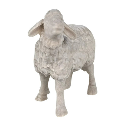 Standing Sheep - Maple Wood (head up)