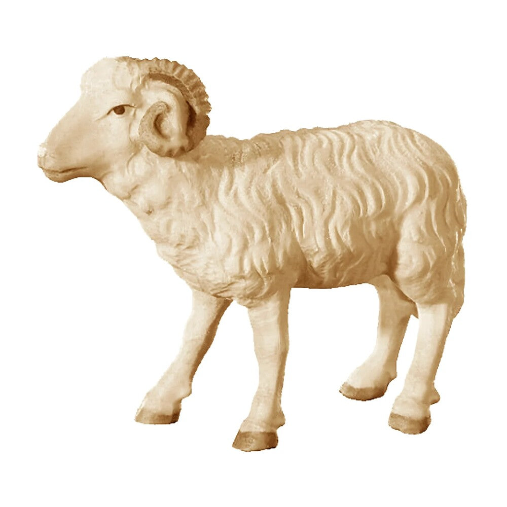 Ram in Maple Wood