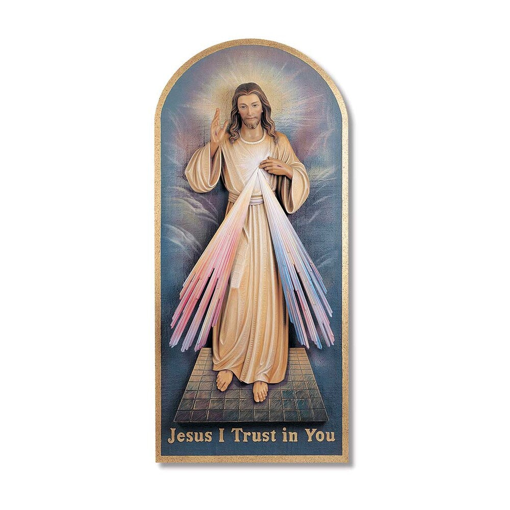 Devine Mercy DS100/49A