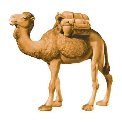 Camel with Gifts - Maple Wood