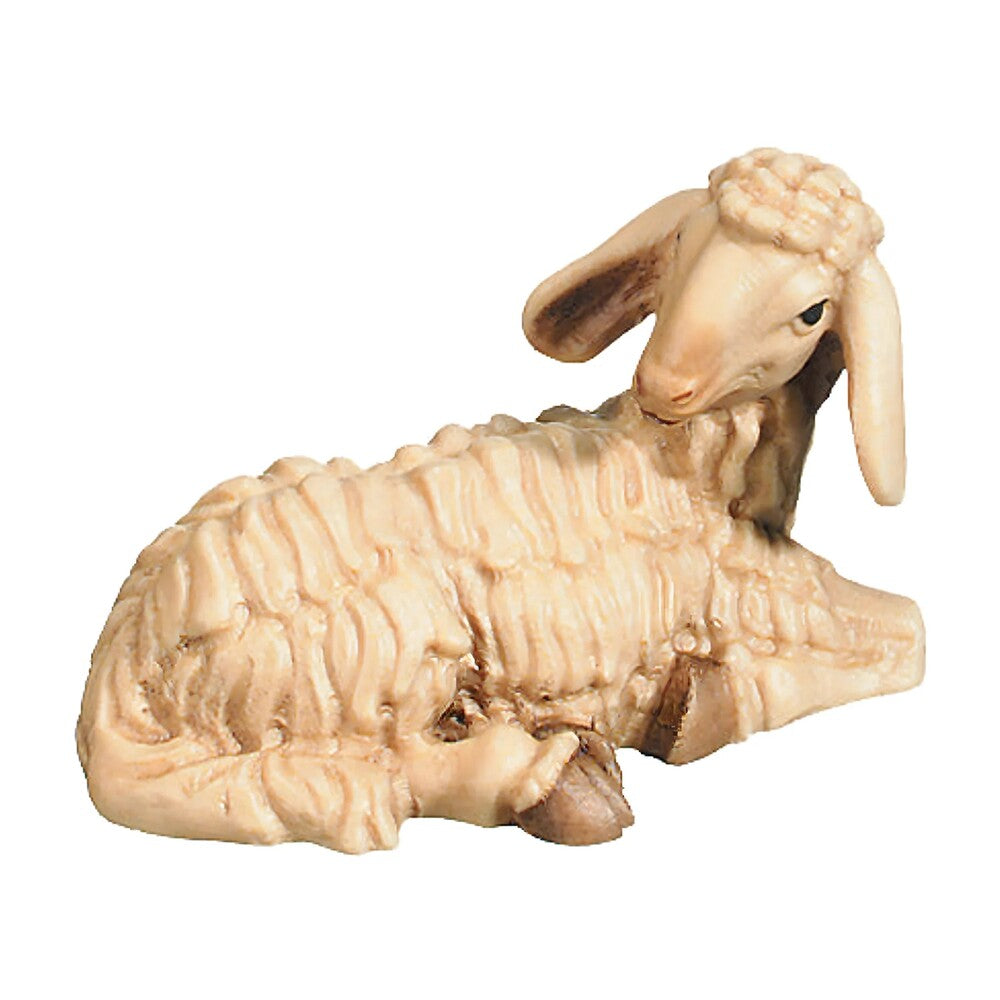 Lying Sheep - Maple Wood (head right)