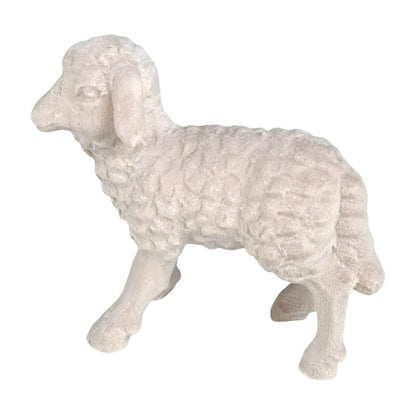 Woolly Lamb in Maple Wood