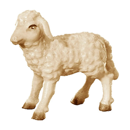 Woolly Lamb in Maple Wood
