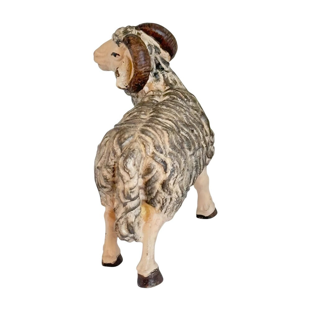 Ram - Maple Wood