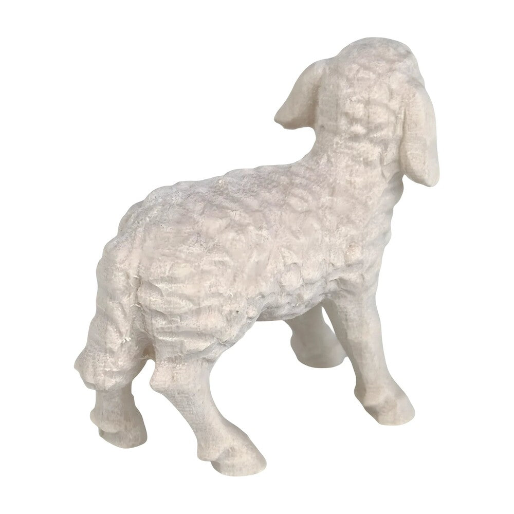 Woolly Lamb in Maple Wood