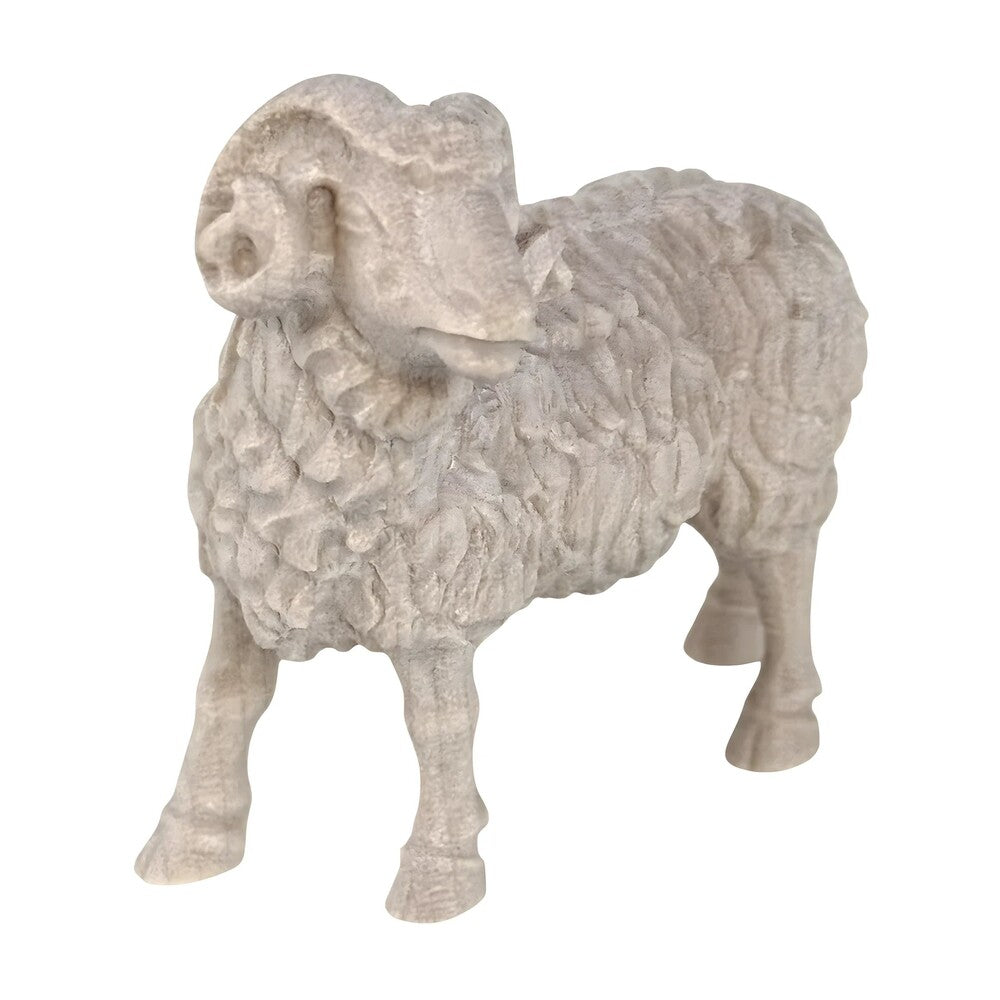 Ram - Maple Wood
