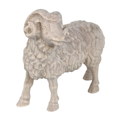 Ram - Maple Wood
