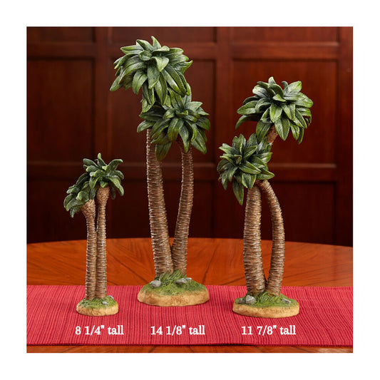 Palm Tree