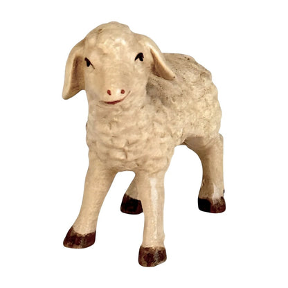 Woolly Lamb in Maple Wood