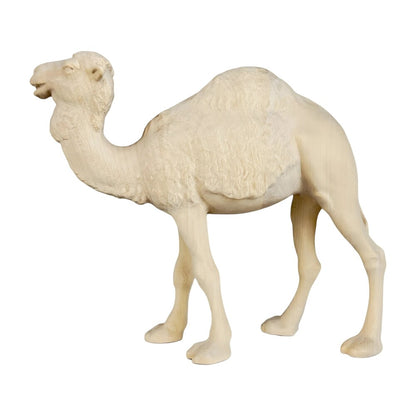 Standing Camel in Maple Wood