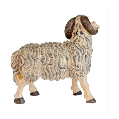 Ram - Maple Wood
