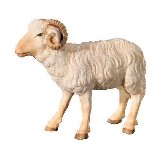 Ram in Maple Wood