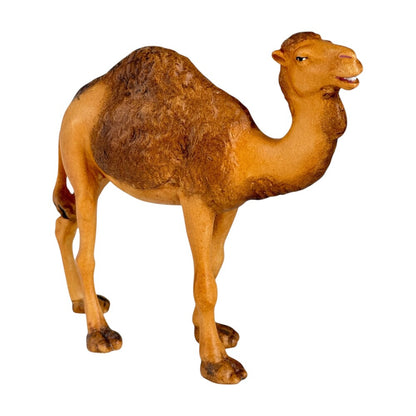 Standing Camel - Maple Wood