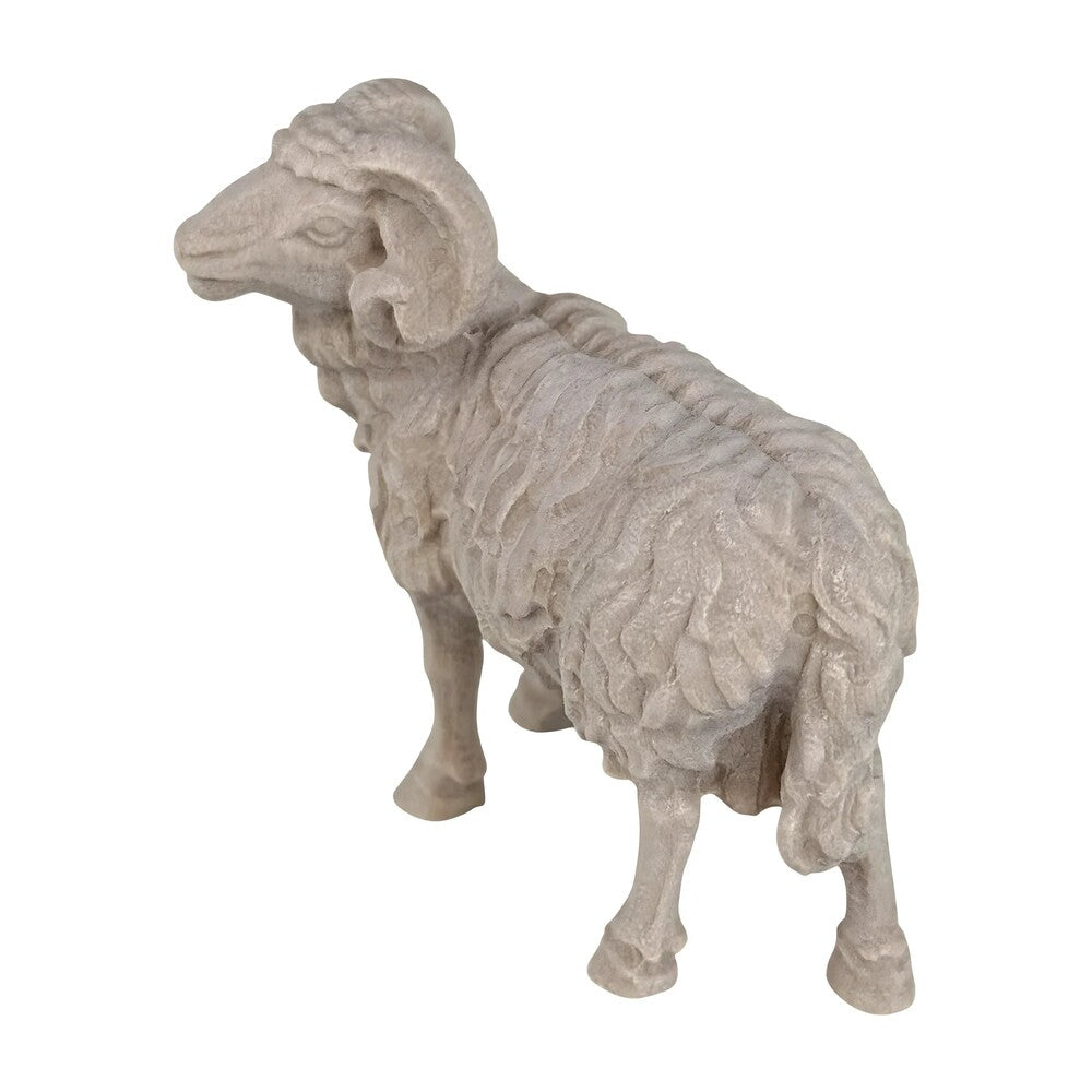 Ram - Maple Wood