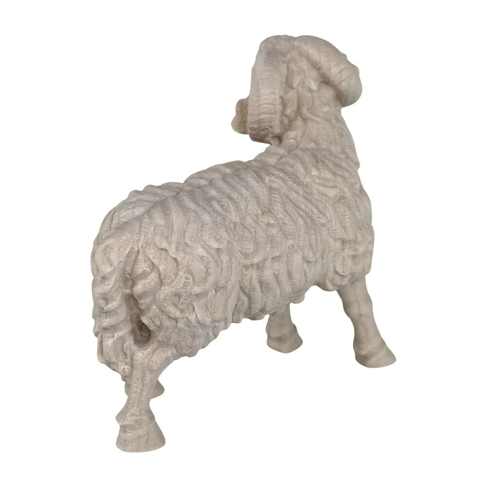 Ram - Maple Wood