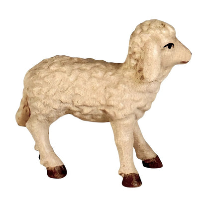 Woolly Lamb in Maple Wood
