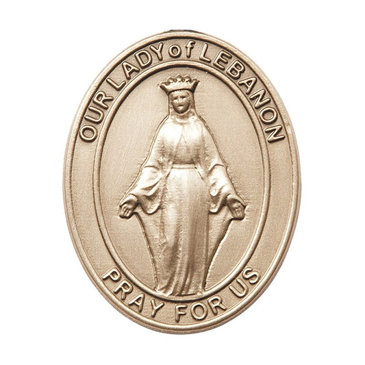 6929VG