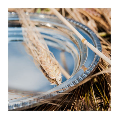 Small Gadroon Rim Pewter Tray