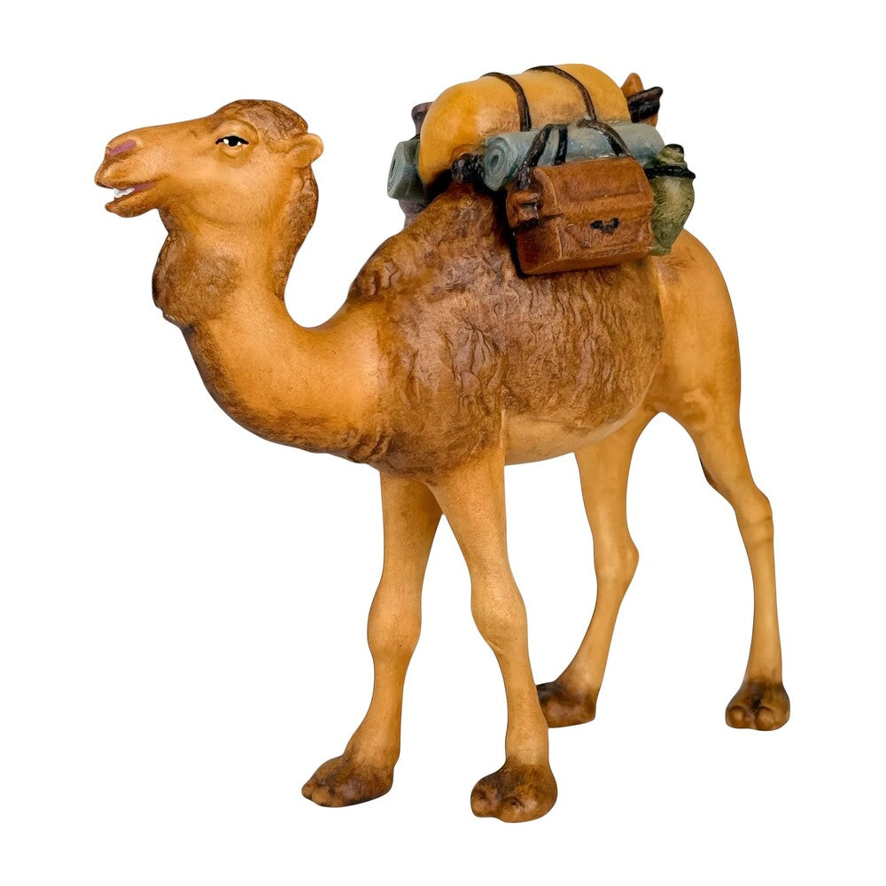Camel with Saddle in Maple Wood