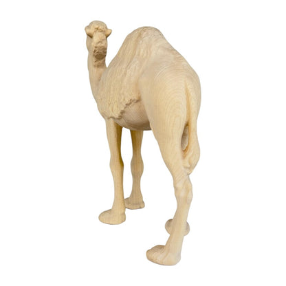 Standing Camel - Maple Wood