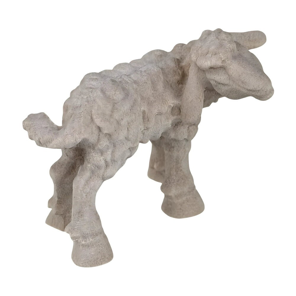 Lamb - Maple Wood