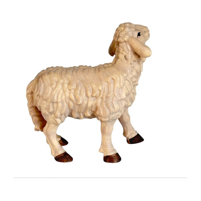 Standing Sheep - Maple Wood (head up)