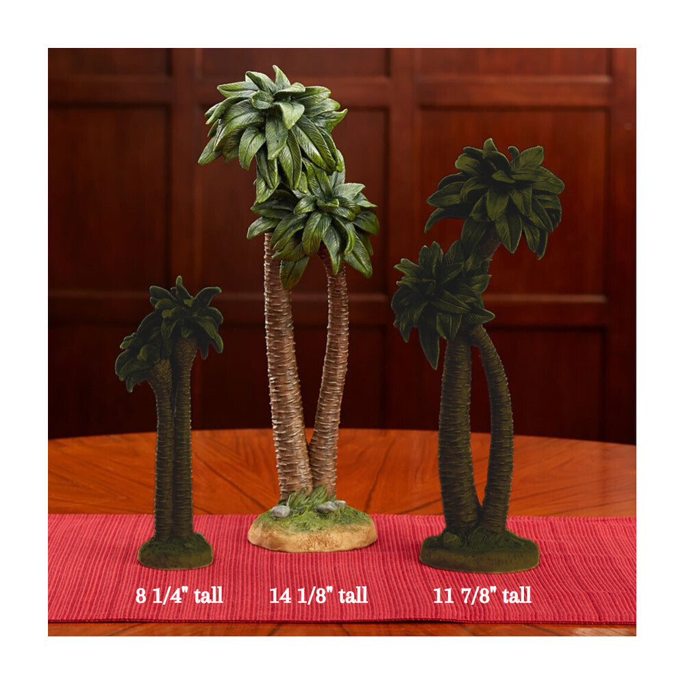 Palm Tree