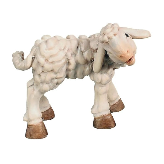 Lamb - Maple Wood