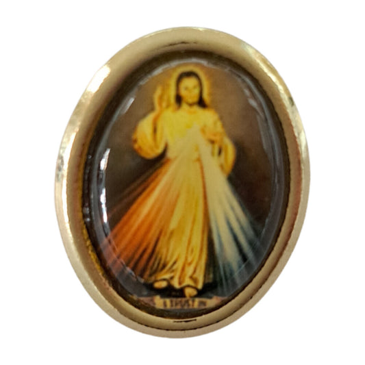 Devine Mercy Lapel Pin
