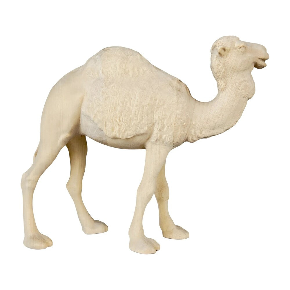 Standing Camel in Maple Wood