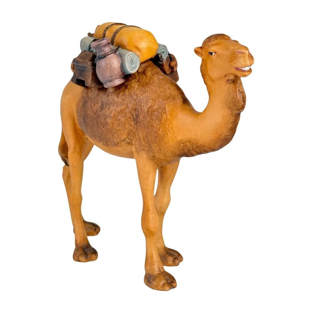 Camel with Saddle in Maple Wood