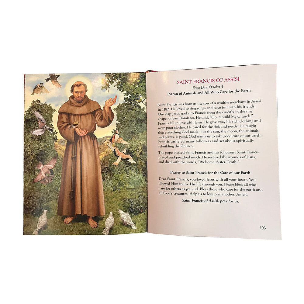 The Lives of The Saints Children's Book