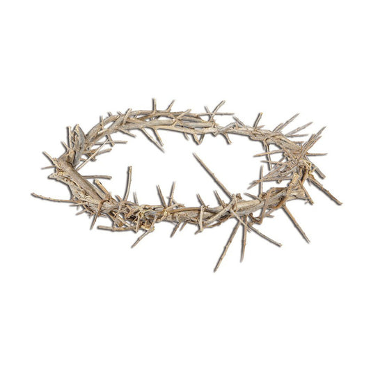 11" Crown of Thorns