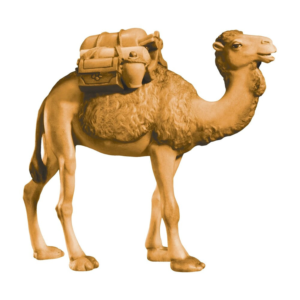 Standing Camel - Maple Wood