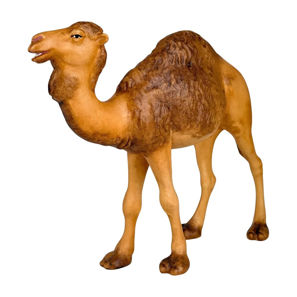 Standing Camel in Maple Wood