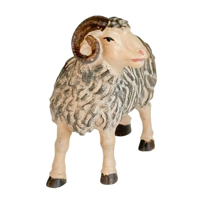 Ram - Maple Wood