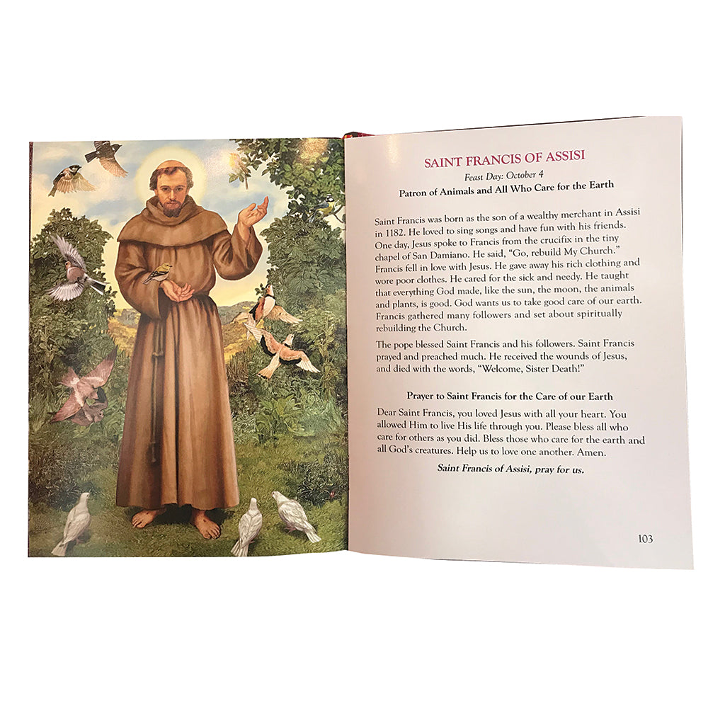 The Lives of The Saints Children's Book