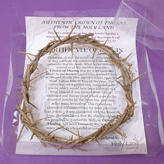 9" Diameter Authentic Crown of Thorns From The Holy Land