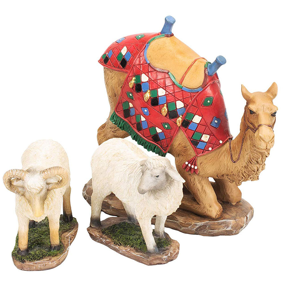 Camel and Awassi Sheep Set